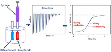等温滴定量热-ITC实验服务2
