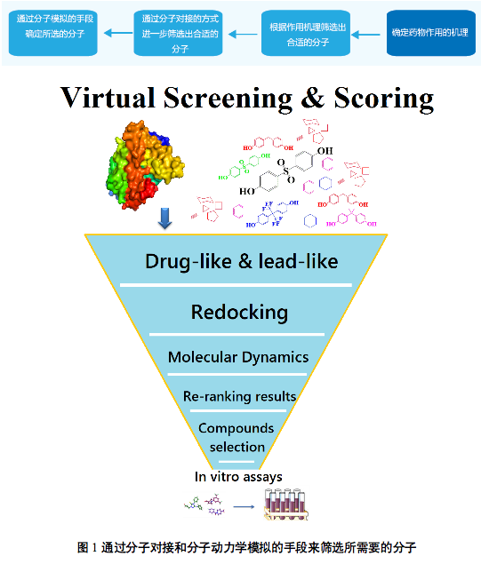 先导化合物虚拟筛选