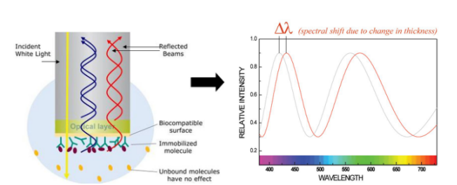 ForteBio Octet2