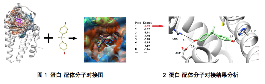 分子对接1