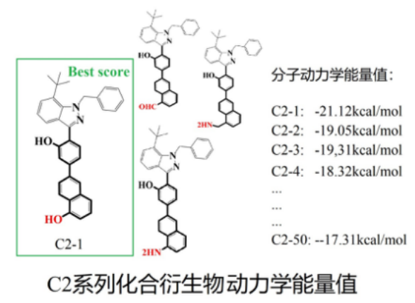 化合物反向寻靶11