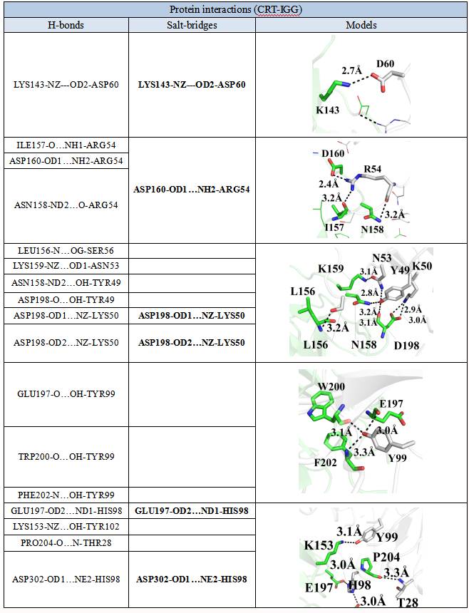 分子对接案例5