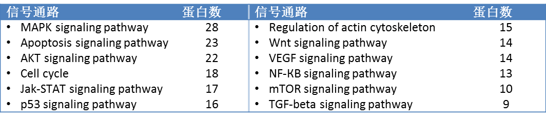 肿瘤信号通路广谱芯片3