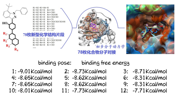 化合物反向寻靶10